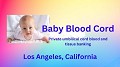 Baby Blood Cord