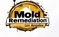 Mold Remediation Los Angeles