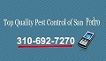 Top Quality Pest Control of San Pedro