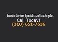 Termite Control Specialists of Los Angeles
