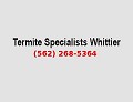 Termite Specialists Whittier