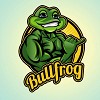 Bullfrog Digital Marketing Agency & SEO Company