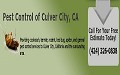 Best Pest Control of Culver City