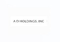 A D Holdings Inc